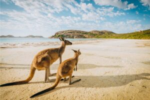 Perth