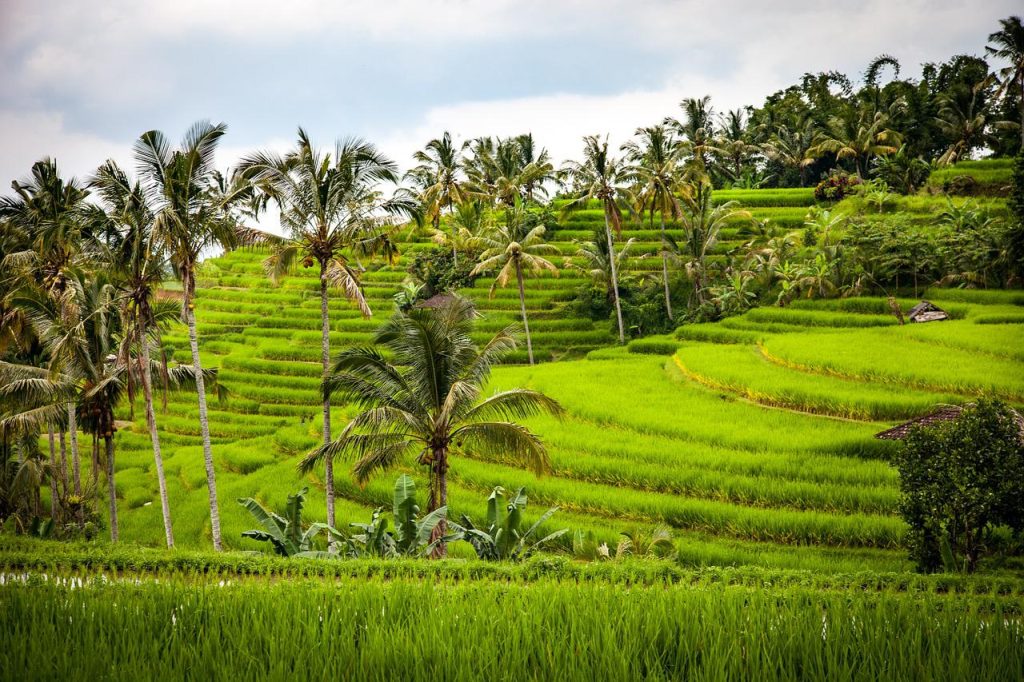 Indonesia