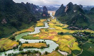 Los Angeles to Vietnam
